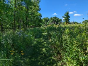 Notes from August